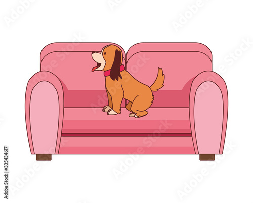 sofa livingroom forniture with cute dog