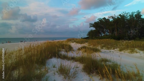 Slow moving drone flight over Sea Oats on Anna Maria Island on Florida's Gulf coast.
