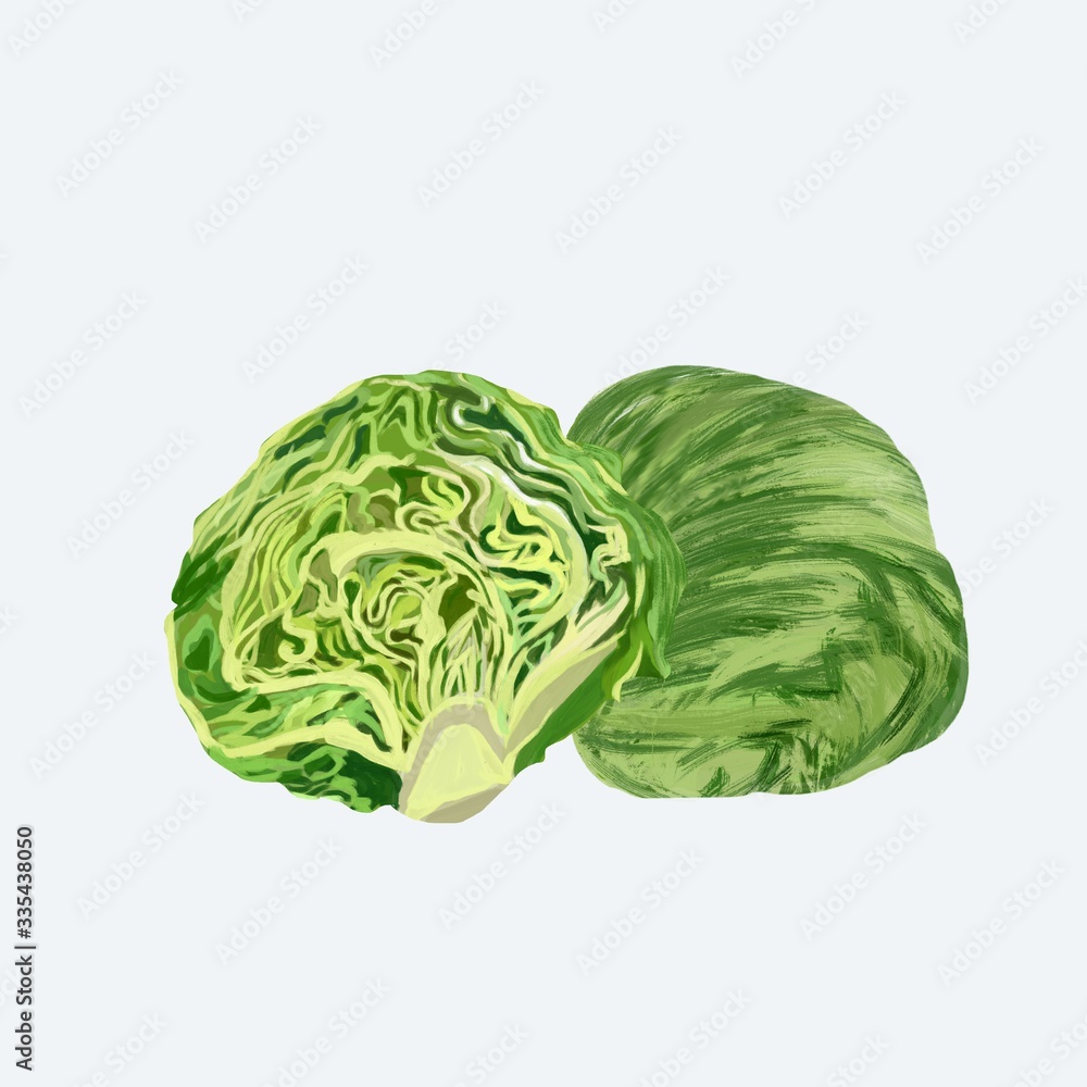 Fototapeta premium cabbage isolated on white background