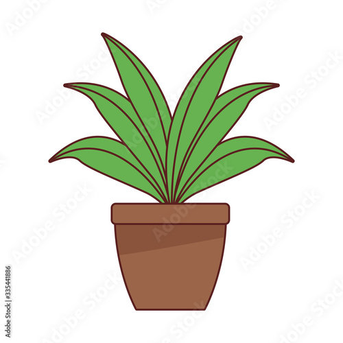 houseplant home decoration isolated icon