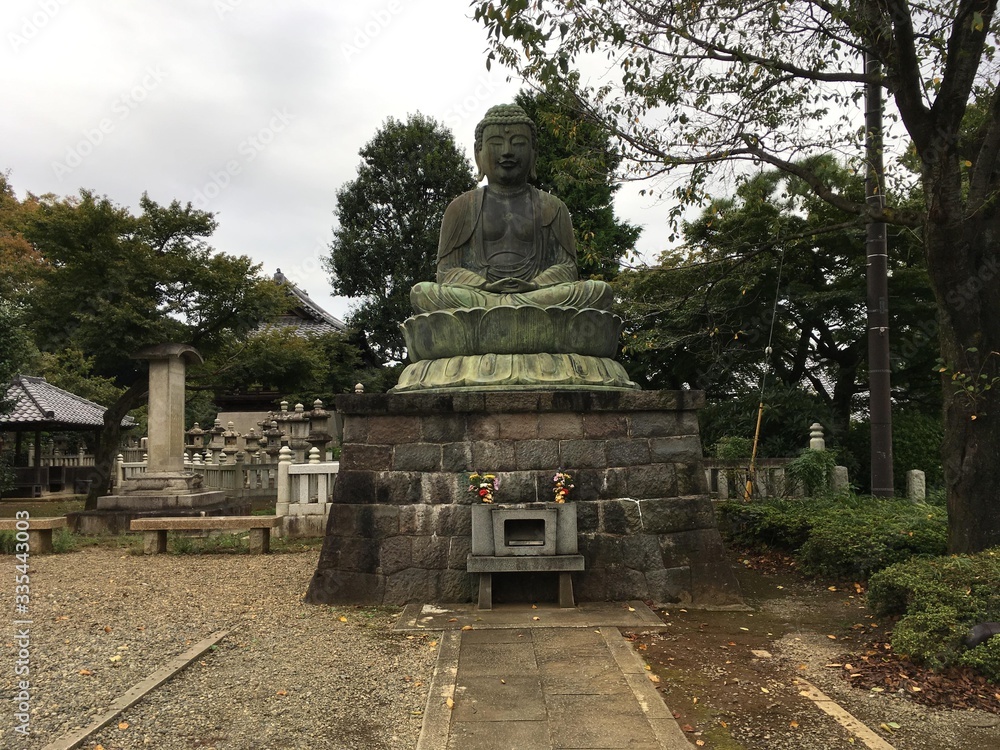 Obraz premium 東京