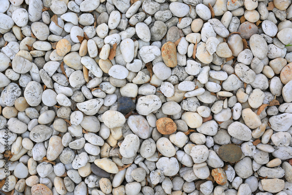 pebble stone on ground for texture background. pebble stone on ground for texture background.