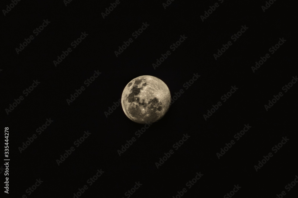Obraz premium full moon in the night
