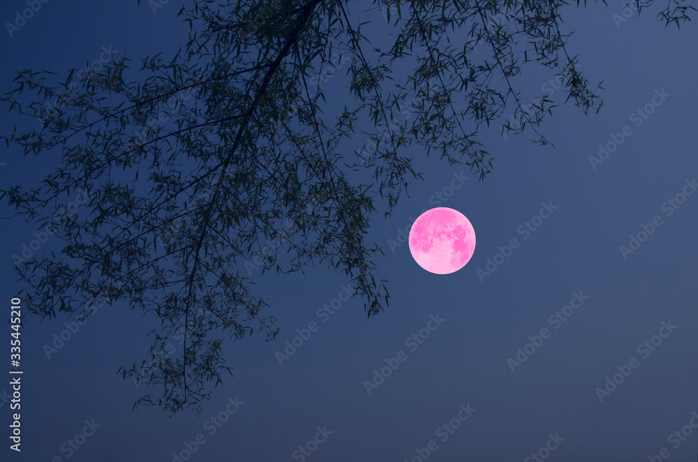 Fototapeta premium Beautiful pink moon in romantic night