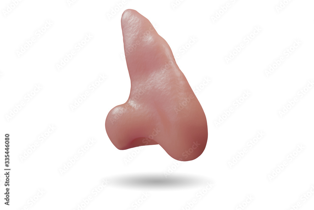 Nose illustration in medical concept - 3d rendering Nose illustration in medical concept - 3d rendering