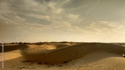 Sand Dunes in Thar Desert