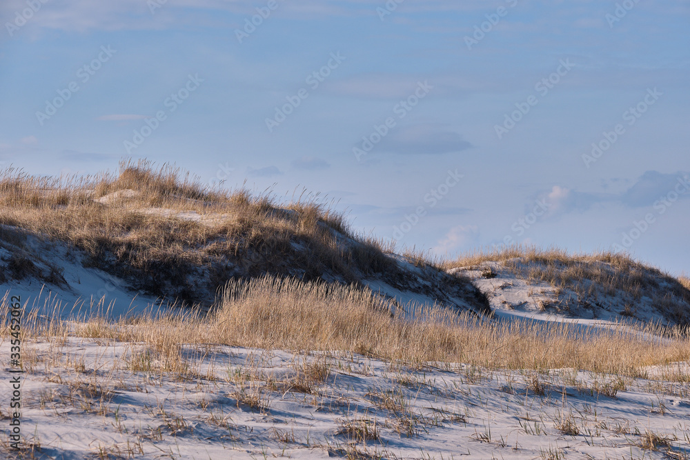 Horizontal image of New Jersey's Island Beach State Park and the Protected and endangered sand dunes in late afternoon light on an empty beach Horizontal image of New Jersey's Island Beach State Park and the Protected and endangered sand dunes in late afternoon light on an empty beach