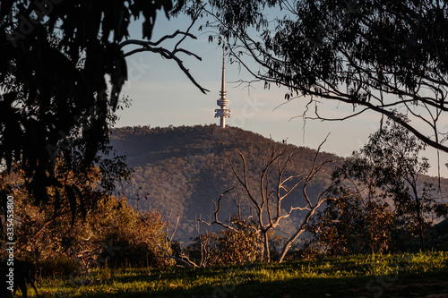 Black Mountain Tower from Red Hill Nature Reserve