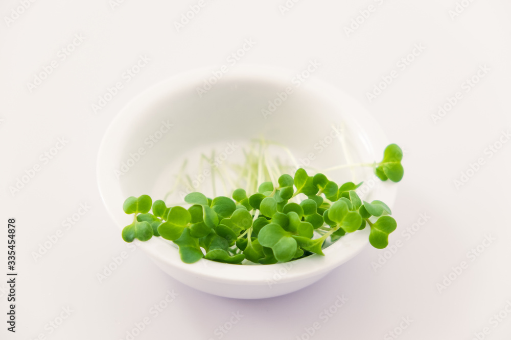 Broccoli microgreens super food in a simple white dish isolated Broccoli microgreens super food in a simple white dish isolated