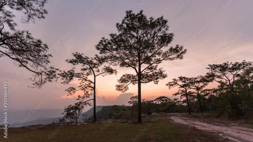 4k Timelapse Viewpoint sunset at Pha Pha Mak Dook in Phukradueng national park at Loei, Thailand 4k Timelapse Viewpoint sunset at Pha Pha Mak Dook in Phukradueng national park at Loei, Thailand