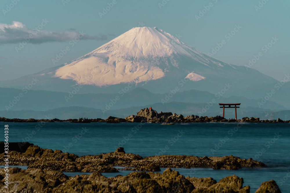 Fototapeta premium 富士山と鳥居 