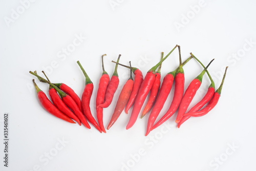 Red chili on white background with copy space for text