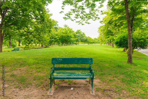 Park bench in public tree park © themorningglory