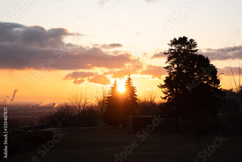 Image of Sunrise in Outdoor Park with Vibrant Sky and Tree Background
