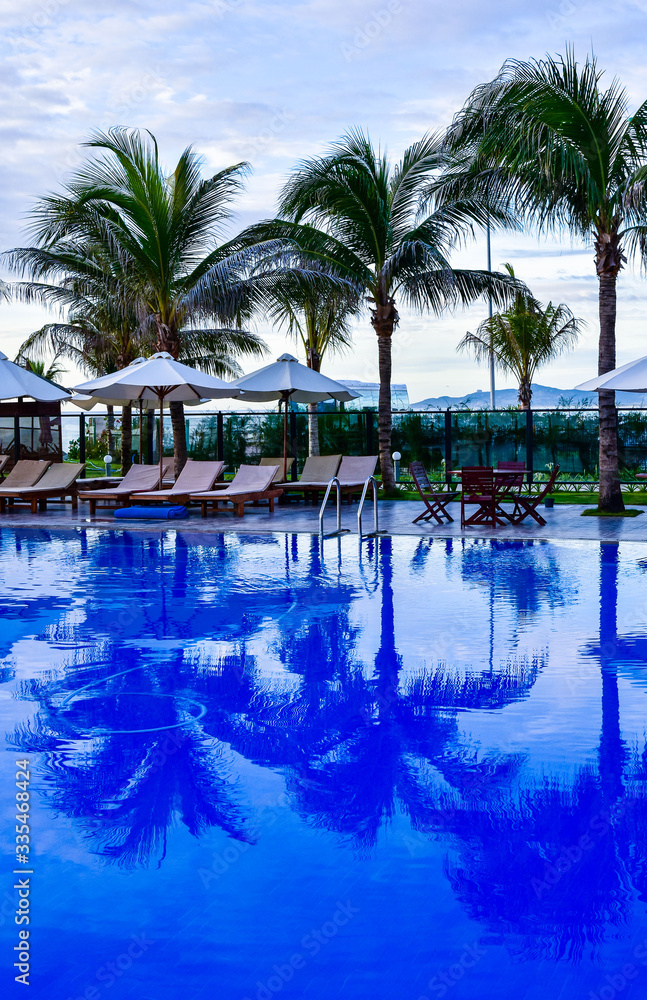 Reflection of palm trees and sky in swimming pool