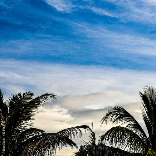 silhouette of palm trees on background of a beautiful sunset