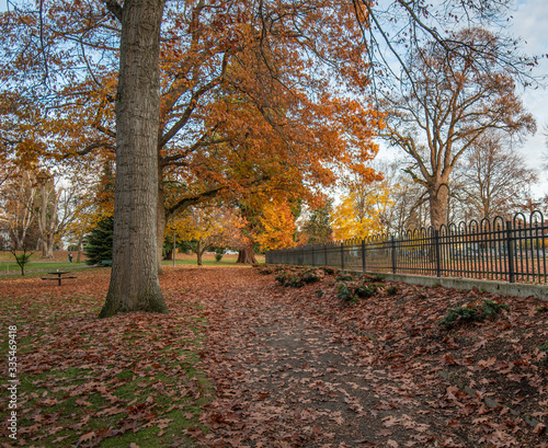 Obraz na płótnie Fall Colors at Wright Park