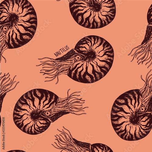 seamless Nautilus shells pattern
