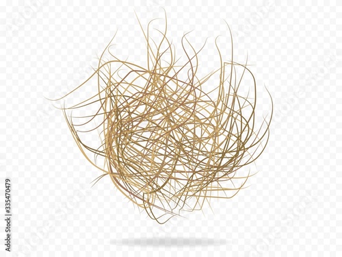 Tumbleweed vector western plant .