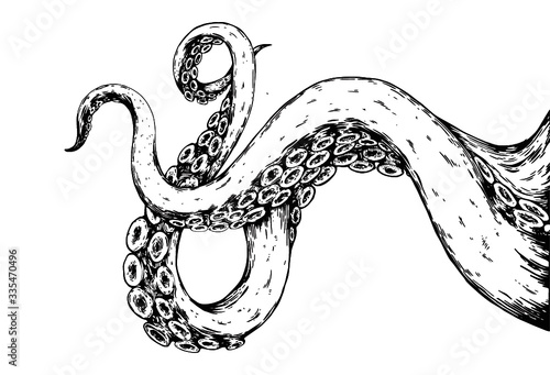 hand drawn sketch of octopus tentacles photo