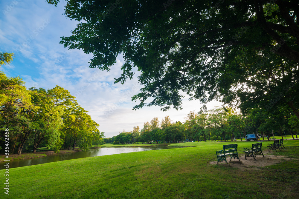 Green tree field with pond in public park Green tree field with pond in public park
