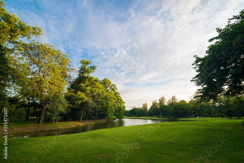 Fototapeta Naklejka Na Ścianę i Meble -  Green public park with meadow field and blue sky cloud