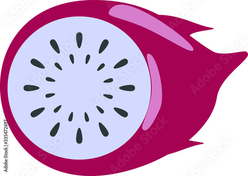 vector illustration of an pitaya