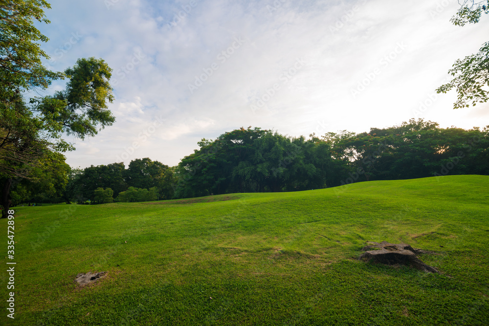 Green public park with meadow field and blue sky cloud