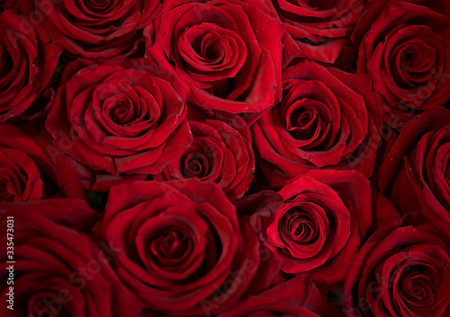 Backround. Bouquet of beautiful red roses