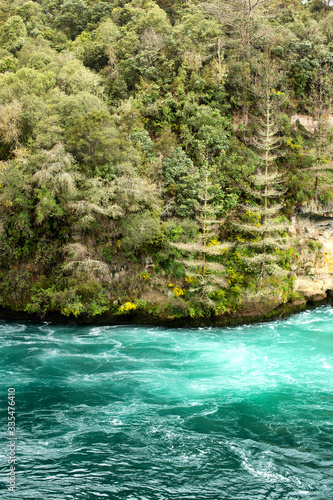 View of the Waikato River