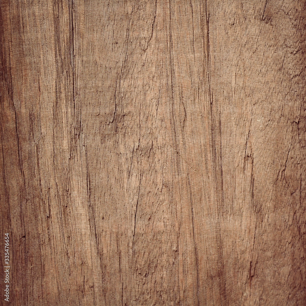 bark wood use as natural background bark wood use as natural background