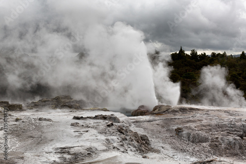 View of thermal activity at the Te Puia Thermal Park