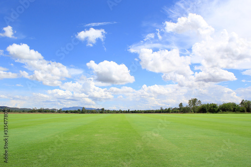 landscape grass field with blue sky and clouds
