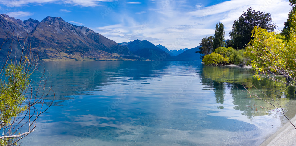 Beautiful View of Tree falling into the crystal clear Lake Wakatipu Near Queenstown, Otago, Glenorchy, New Zealand. Southern Alps in the background.