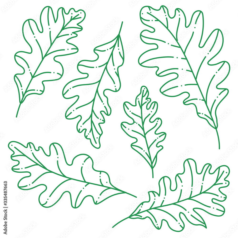 Green oak leaves set Green oak leaves set