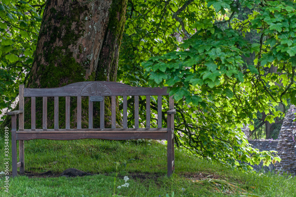 Wooden bench without people under a large oak tree in the Inchmahome Priory, Scotland. Concept: reflection, tranquility, calm