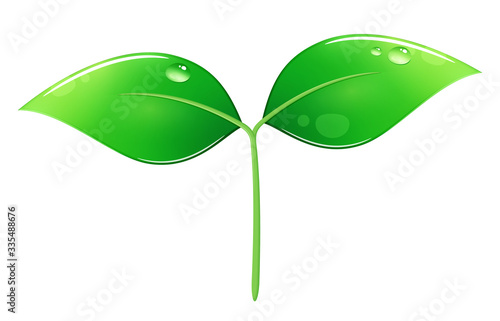 葉っぱ エコ つやつや 双葉 水滴イラスト Stock Vector Adobe Stock 葉っぱ エコ つやつや 双葉 水滴イラスト Stock Vector Adobe Stock