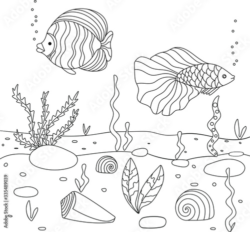 Vector illustration with algae, shell and fish, sea floor. Cute square page coloring book for children. Simple funny kid's drawing. Black lines, sketch on a white background.
