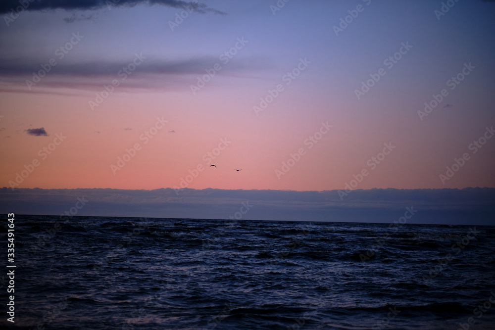 Sunset sky over the Baltic sea with couple of birds flying