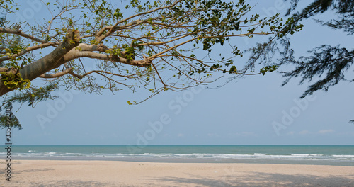 Fototapeta Naklejka Na Ścianę i Meble -  Tropical ocean beach and tree