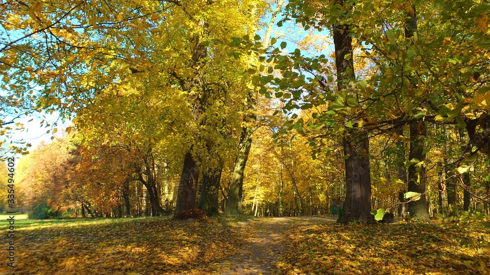 Barwy jesieni w parku w Strzelcach Opolskich Polska