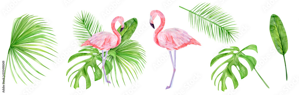 Watercolor illustration set tropical exotic bird pink flamingo. Perfect as background texture, wrapping paper, textile or wallpaper design. Hand drawn isolated bird
