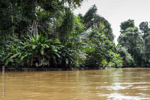 
Boat trip to Tortuguerro National Park, Costa Rica, Central America  photo