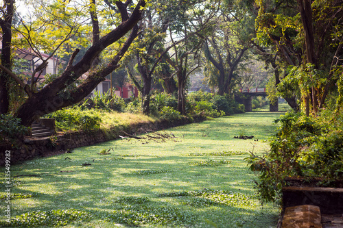 River channel city Allapuzha, India, Kerala. Overgrown with green algae, in a stone embankment, a narrow channel through the city with overhanging branches of tropical trees. photo