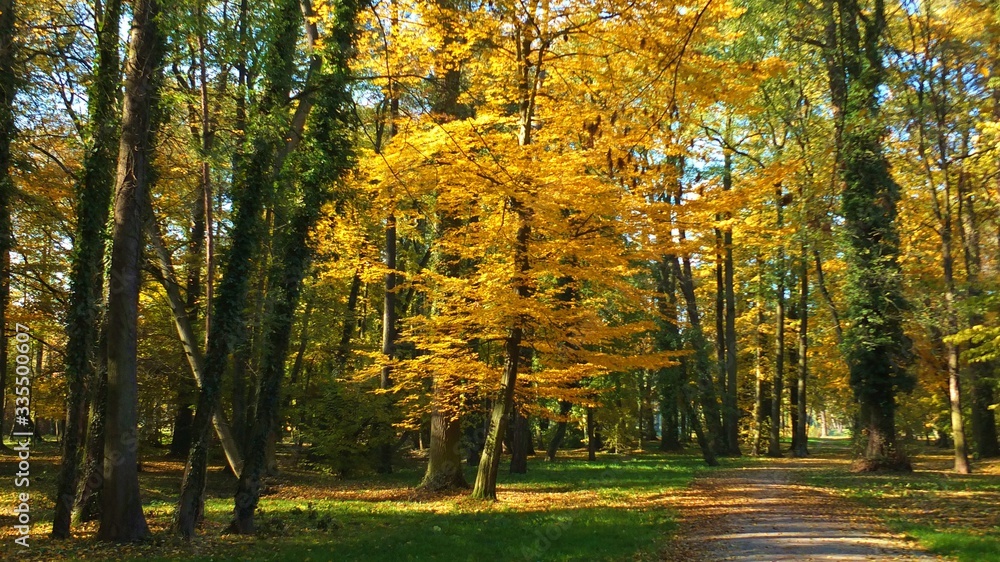 Naklejka premium Barwy jesieni w parku w Strzelcach Opolskich Polska