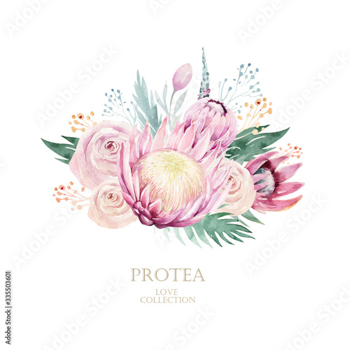 Watercolor vector protea elements set. tropical leaves. Hand drawn illustration
