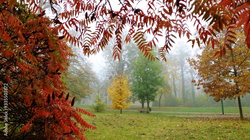 Jesień rozpieszcza kolorami w Strzeleckim parku photo