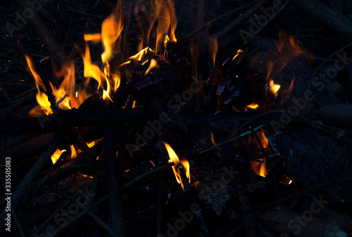 A bright fire in the forest is burning. You can see the flames on the branches and the coals.