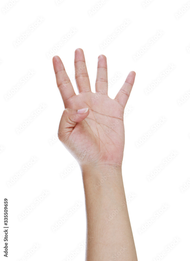 woman hand on white background, this has clipping path. woman hand on white background, this has clipping path.