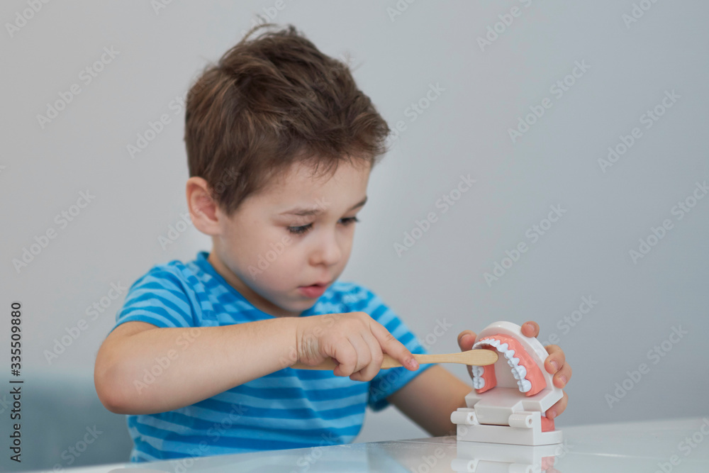 Close-up model of a human jaw with white teeth. little boy learns to brush his teeth with dental jaw layout. Close-up model of a human jaw with white teeth. little boy learns to brush his teeth with dental jaw layout.